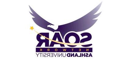 SOAR Network Logo